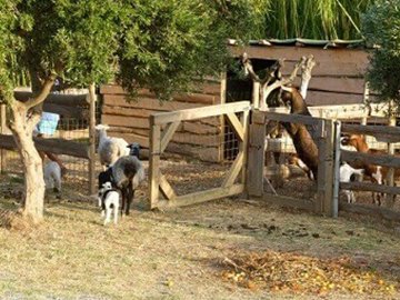 Lefkogia Farm goat pens