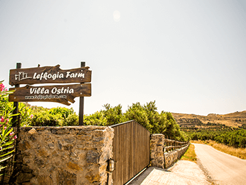 Lefkogia Farm Villa Ostria